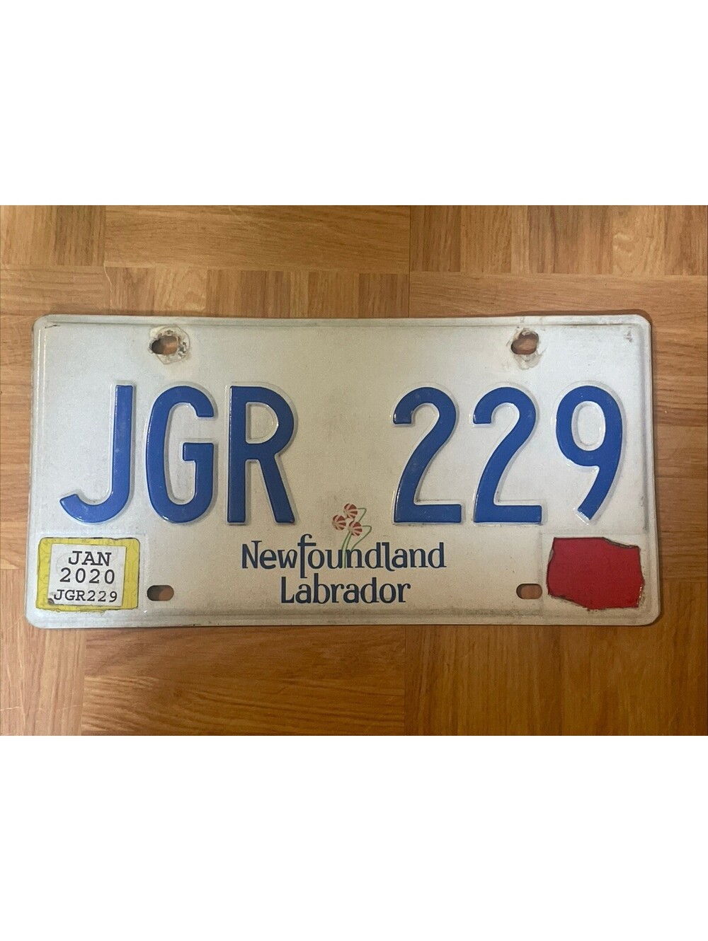 Newfoundland License Plate (Expired) Labrador Canada Picture Plant 2020 JGR 229